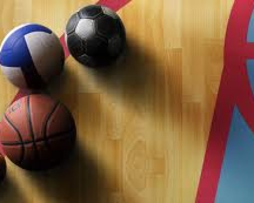 Omnisports Omnisports